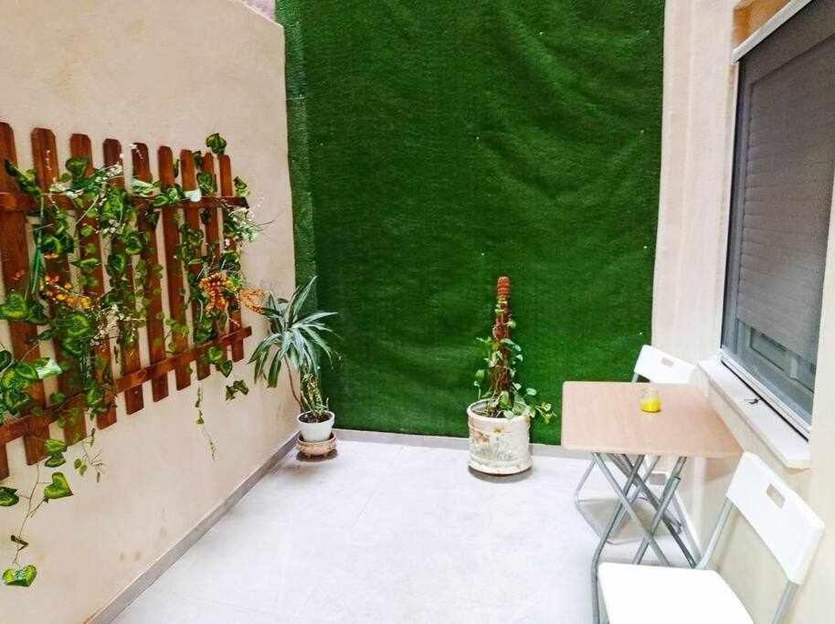 אלצ'ה Apartamentos Full Equipped מראה חיצוני תמונה