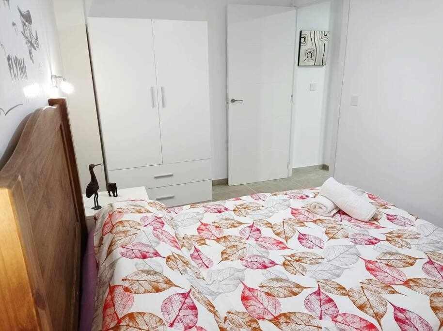 אלצ'ה Apartamentos Full Equipped מראה חיצוני תמונה